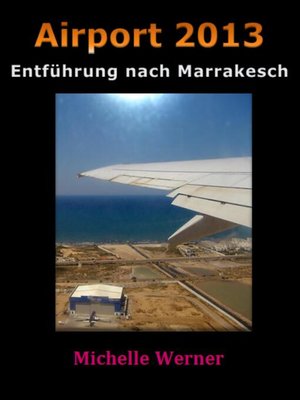 cover image of Airport 2013